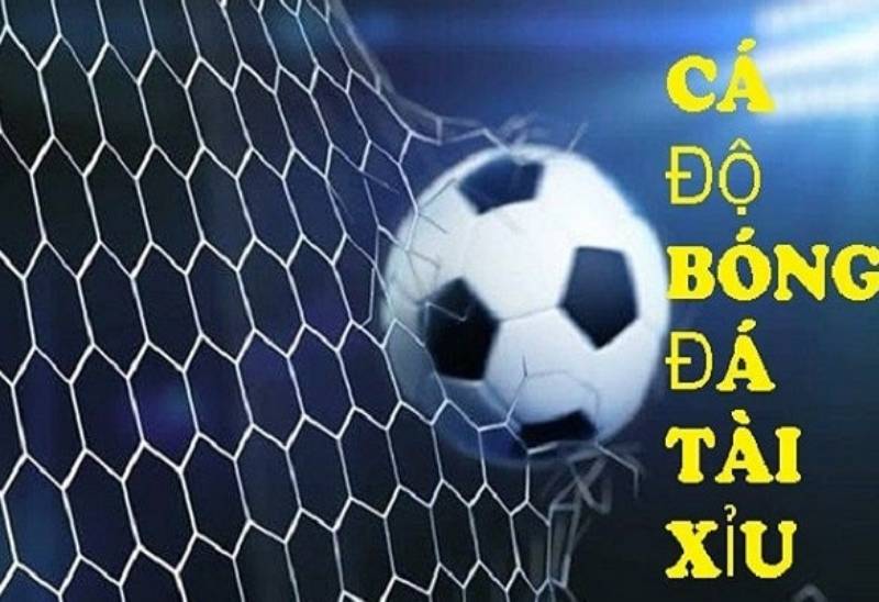 Kèo tài xỉu là gì? Mẹo đặt cược cực hay dành cho newbie Cách chơi kèo tài xỉu trong bóng đá