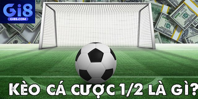 Hiểu rõ luật chơi kèo chấp 1/2 để tăng cơ hội thắng