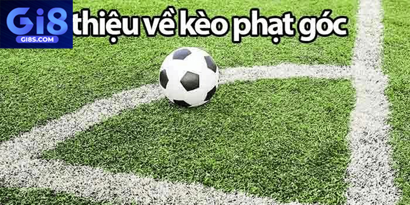 Hiểu rõ ý nghĩa và luật chơi kèo phạt góc cơ bản